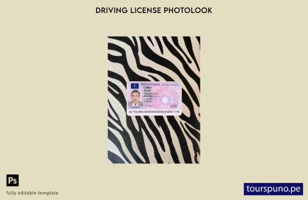 Plantilla FRONTAL lista para imprimir Francia DL photolook